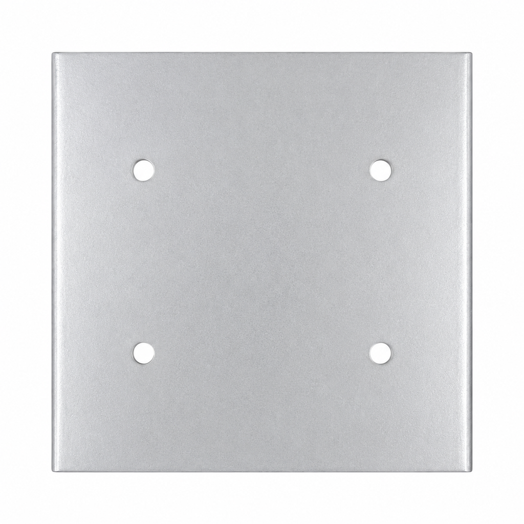 Dring (Includes Plate & Bolts)