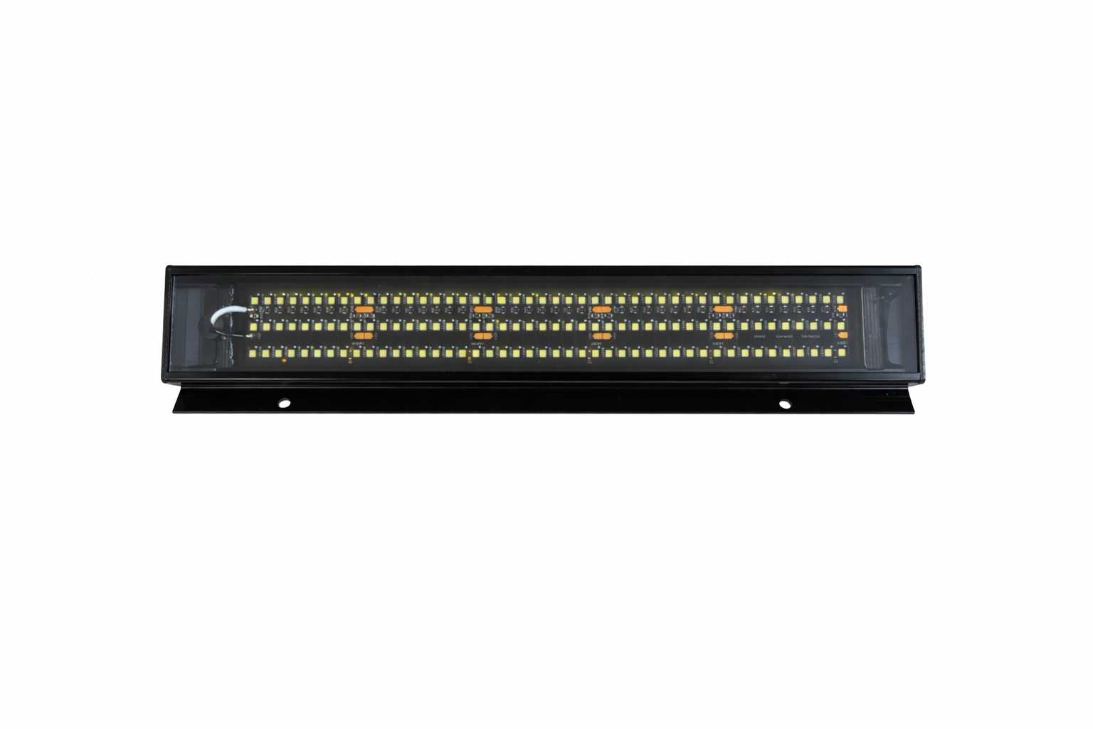 12" Race Light