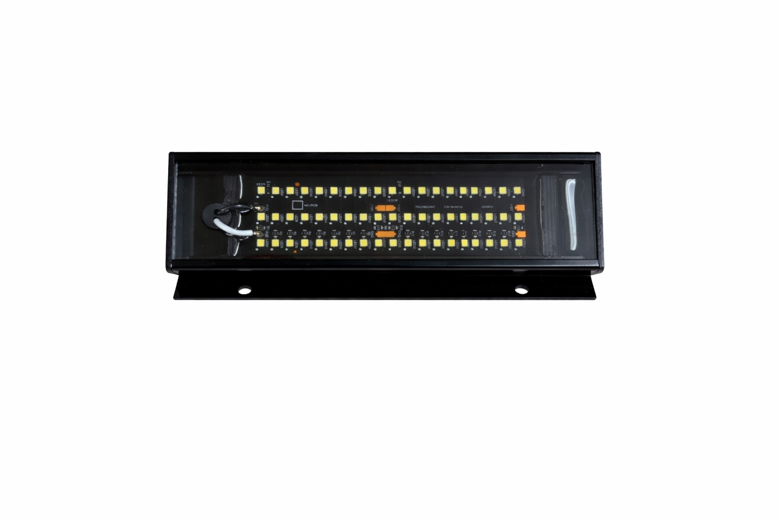 6" Race Light