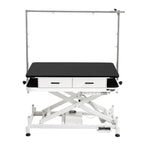 Waggz Store-Low Lite 47” Electric Dog Grooming Table with Drawers