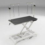 Waggz Step-Low White Electric Dog Grooming Table